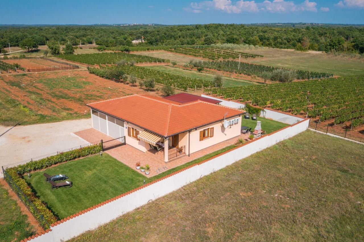 Villa Gracia Sveti Lovreč Pazenatički Exterior foto