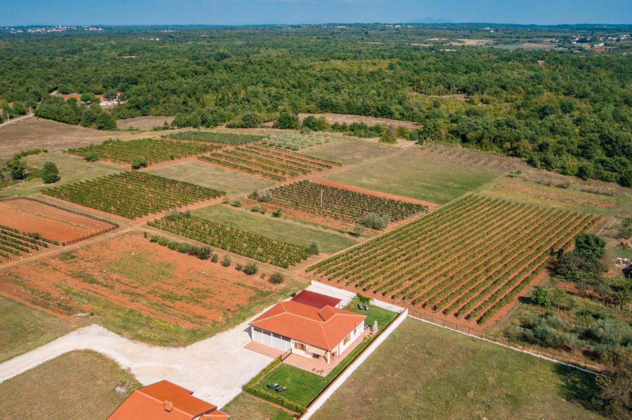 Villa Gracia Sveti Lovreč Pazenatički Exterior foto